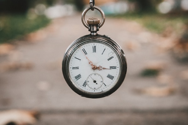 窓辺に並ぶ観葉植物と作業机